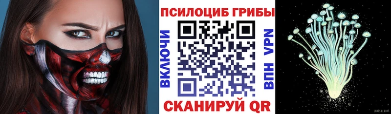 Псилоцибиновые грибы мицелий  закладка  Малоярославец 